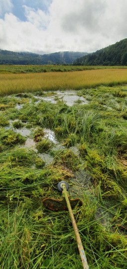 Obnova Visoka voda 2 Gorenje Jezero Izak H. Meden