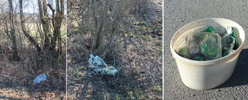 cistilna akcija 1 Nina Doles