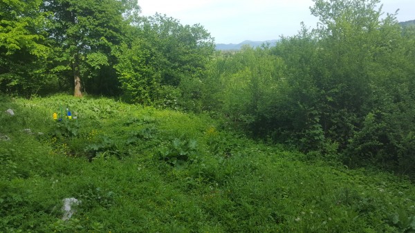 Urhov habitat lepo zarascen 2020 05 22 Urhov habitat lepo zarascen 2020 05 22