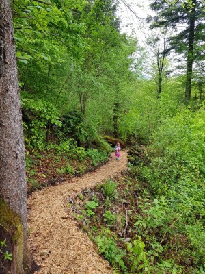 spija2 Eva Kobe splet spija2 Eva Kobe splet