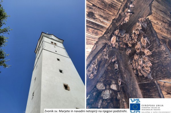 popis 2021 Marjeta s pripisom splet popis 2021 Marjeta s pripisom splet