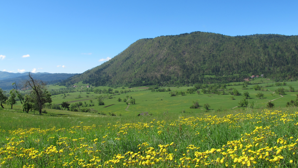 3.2.5 PP Renata Gutnik 3.2.5 PP Renata Gutnik