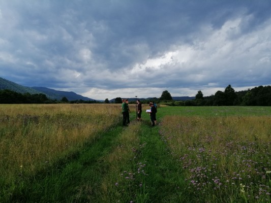 Renaturacija kanalov PP Priprava Nina Doles 2021 08 splet Renaturacija kanalov PP Priprava Nina Doles 2021 08 splet