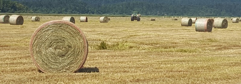 Bale kosnja CJ 2018 Splet 2 Barbara