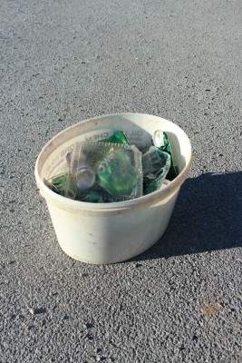 cistilna akcija 4 Nina Dole