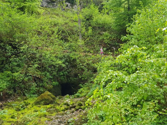 spilja4 Eva Kobe splet spilja4 Eva Kobe splet