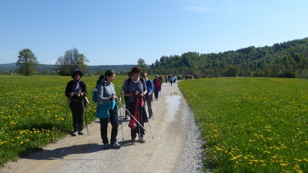 Obiskovalci Scilkine poti 1 Drustva za zdravje srca in ozilja 2022 05 04 Jana Laganis splet Obiskovalci Scilkine poti 1 Drustva za zdravje srca in ozilja 2022 05 04 Jana Laganis splet