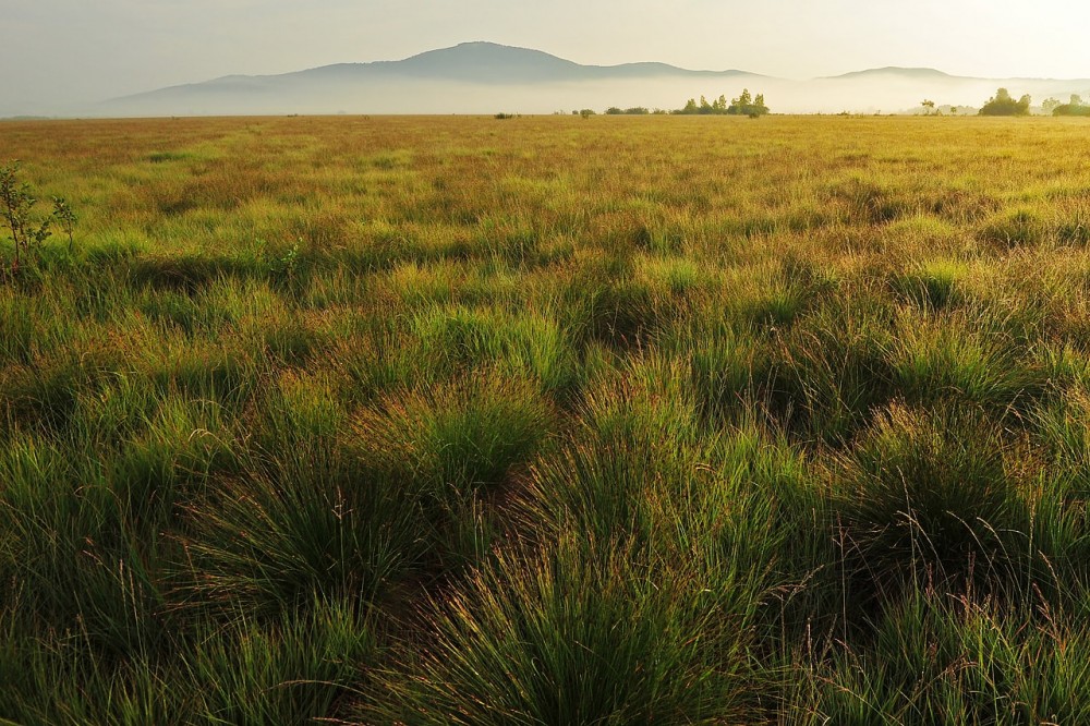 NOVO 2.10 nizko barje Dujce Jost Stergarsek min NOVO 2.10 nizko barje Dujce Jost Stergarsek min