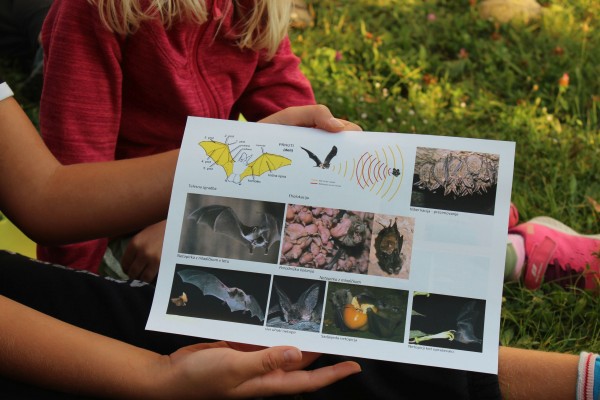 Noc netopirjev 2020 5 Renata Gutnik spletka Noc netopirjev 2020 5 Renata Gutnik spletka