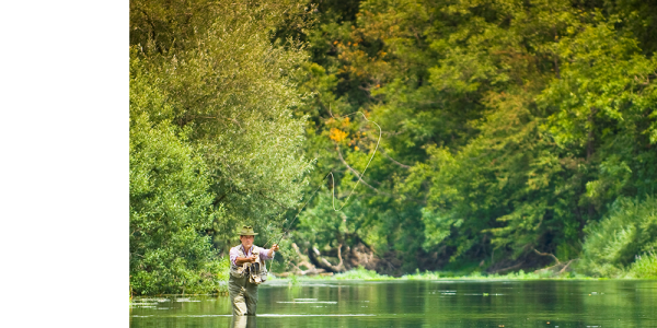 Unica muharjenje Unica muharjenje