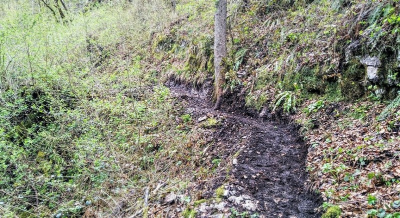 Nova pot nad Spiljo 201 05 Stane Kos