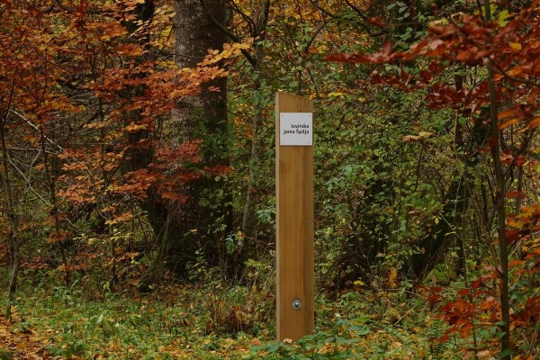 Spilja Stebricek Eva Kobe Spilja Stebricek Eva Kobe