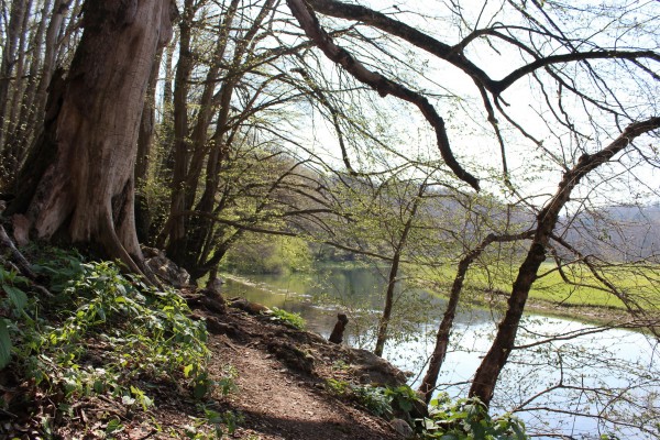 3 Ob Unici Nina Doles 5