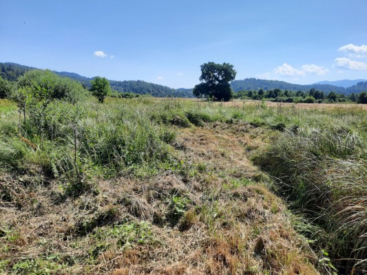 Renaturacija na PP zasutje kanalov 2 2021 09 27 Nina Doles spletka Renaturacija na PP zasutje kanalov 2 2021 09 27 Nina Doles spletka