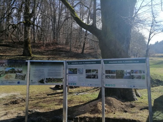 Scilkna pot TABLE pri Haasbegu 2021 spletka Scilkna pot TABLE pri Haasbegu 2021 spletka