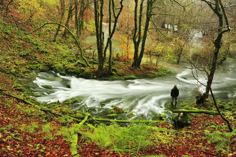 2019 11 28 Podpecmi Jost. splet