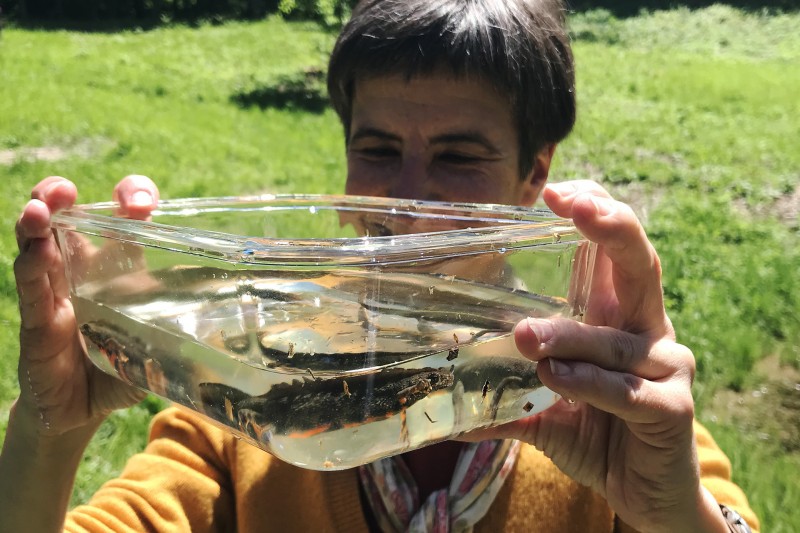 pupek veliki BBS Pocinov laz 2020 9485 crop 1920