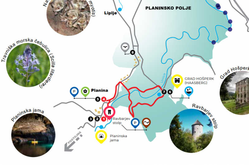 Scilkina pot IZSEK iz zgibanke