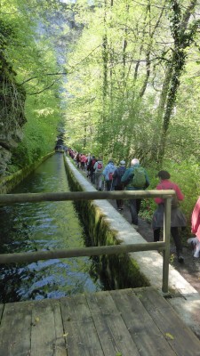 Obiskovalci Scilkine poti 2 Drustva za zdravje srca in ozilja ob Planinski jami 2022 05 04 Jana Laganis splet Obiskovalci Scilkine poti 2 Drustva za zdravje srca in ozilja ob Planinski jami 2022 05 04 Jana Laganis splet