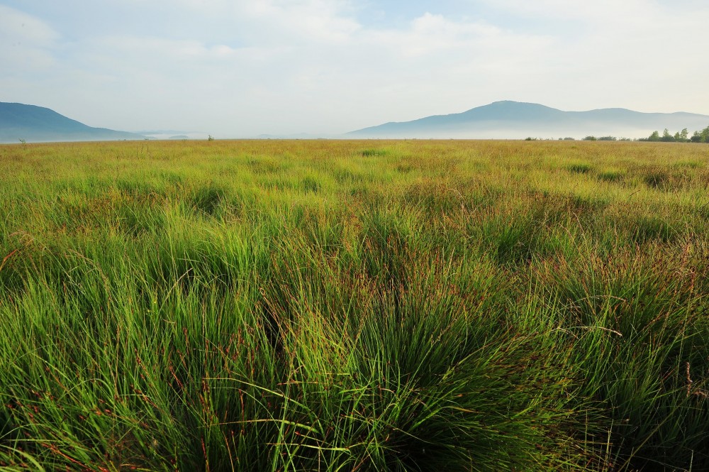 Dujce 13VII11 20 min2 min Dujce 13VII11 20 min2 min