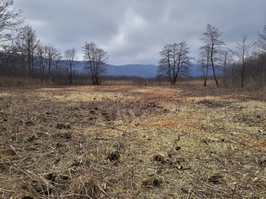 20200115 111712 20200115 111712