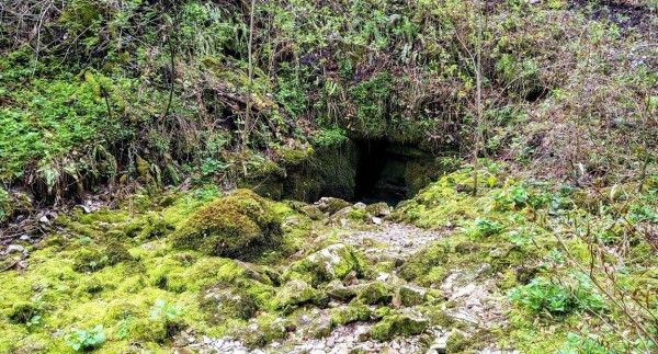 Spilja suha Stane Kos Spilja suha Stane Kos