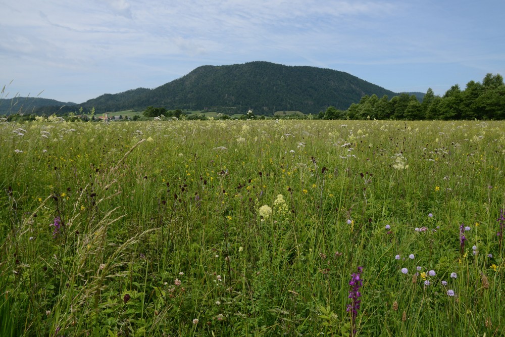 NOVA 2.11Visoko steb