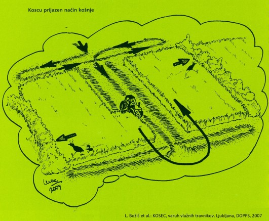2019 8 30 Kosnja prijazna kosci Shema L.Bozic 2019 8 30 Kosnja prijazna kosci Shema L.Bozic