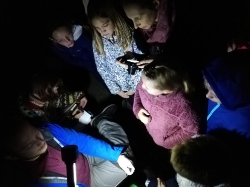 Noc netopirjev 2019 mrezenje Lara J.P.