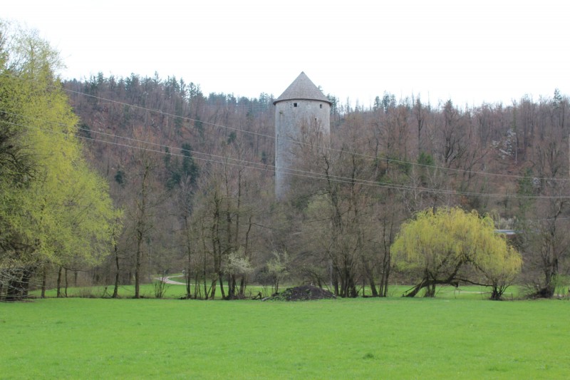 Ravbarjev stolp1 Nina Doles manjsa