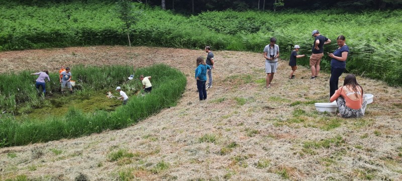 Delavnica Otroci ov mlaki splet