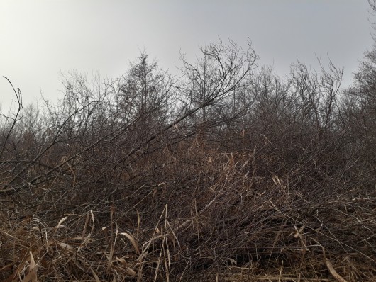 20200116 113627 v2 20200116 113627 v2