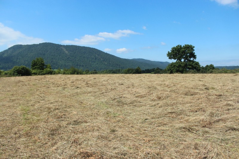 Pokoseno PP 2020 Nina Doles splet