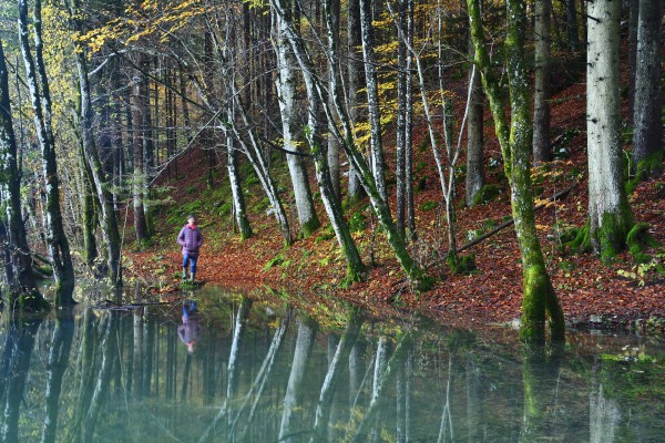 2019 11 28 pot izvirov brzic Jost 2019 11 28 pot izvirov brzic Jost