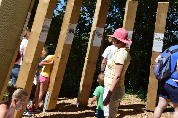 i05 Prehranjevalni splet 2 Z otroki Janja Mihelcic i05 Prehranjevalni splet 2 Z otroki Janja Mihelcic