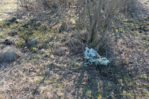 cistilna akcija 3 Nina Dole