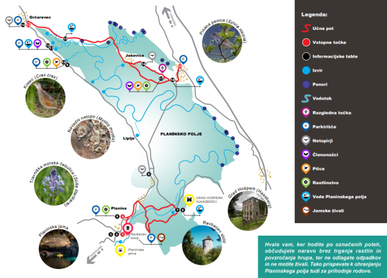 Scilkina pot cela iz ZGIBANKE Scilkina pot cela iz ZGIBANKE