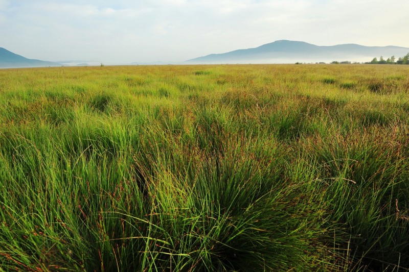 NOVA 1.2 Nizko barje Dujce JostS tergarsek min