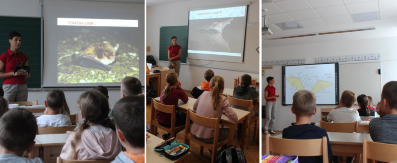 2019 9 enkrat Nina Predavanja netopirji kolaz predavanja Nina Doles mala 1300