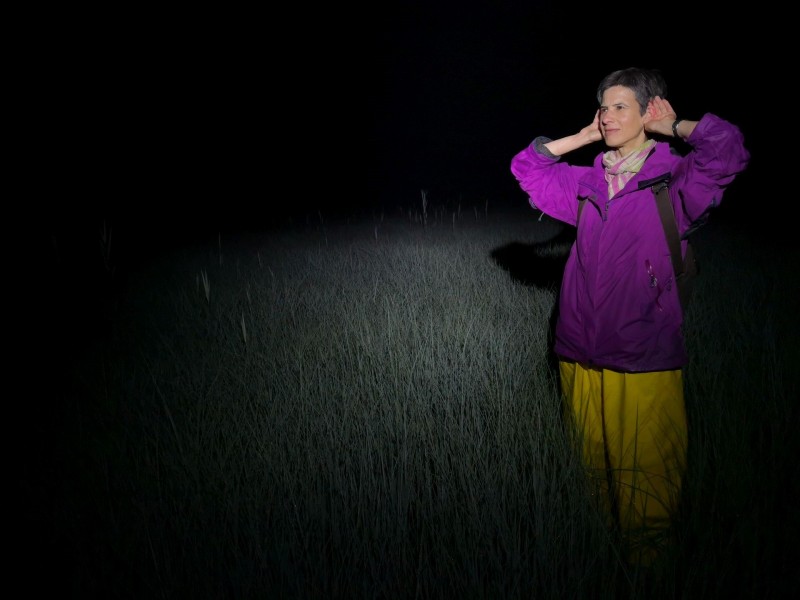 CrexNight nacion 2018 poslusanje kosce Tomaz Jancar mala