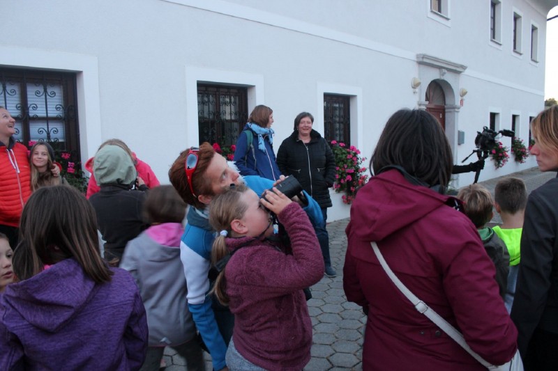 Noc netopirjev 2019 Opazovanje dogodek 209 9 20 splet