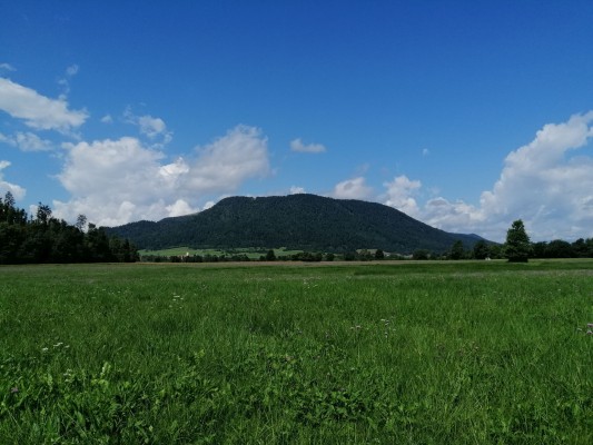 Renaturacija kanalov PP Obmocje Nina Doles 2021 08 splet Renaturacija kanalov PP Obmocje Nina Doles 2021 08 splet