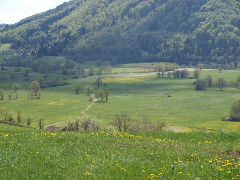 PP Renata Gutnik poletna s cesto spletka