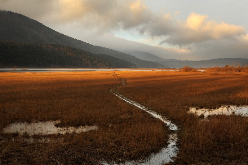 2021 03 26 Fotonatecaj 2020 NRP 23XII14 1280 5012