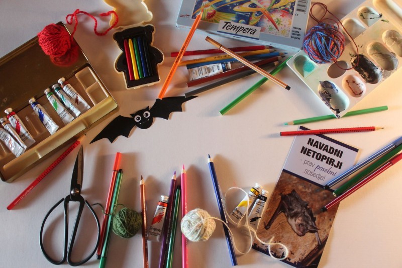 Likovni natecaj 2019 Nina Doles splet