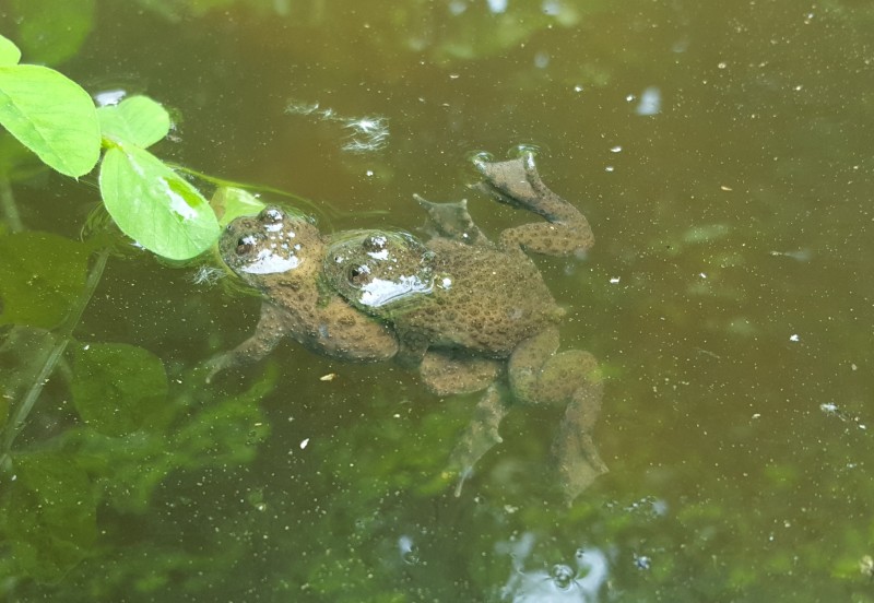 Urh par Cvinger 22 5 2020 Barbara