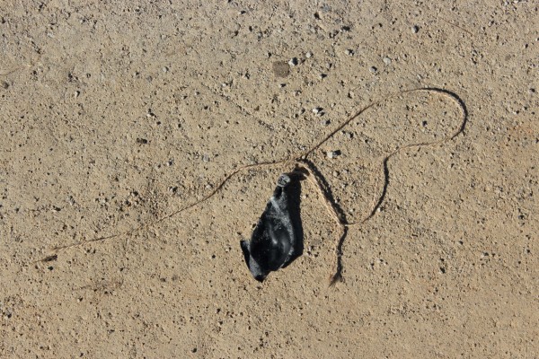 cistilna akcija Balon Nina Doles