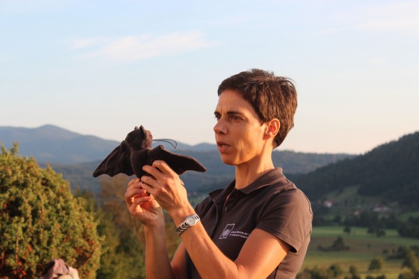 Noc netopirjev 2020 2 Nina Doles Spletka Noc netopirjev 2020 2 Nina Doles Spletka