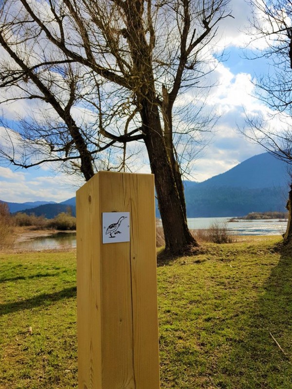 89657498 3076296175727868 3848224911201927168 o