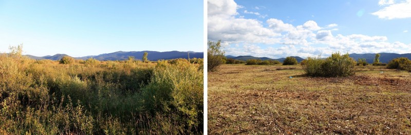 mulcenje Retje prej potem oktober18 v2
